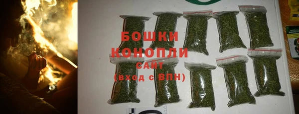 первитин Богданович