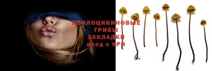 прущий лед Беломорск