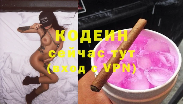 индика Протвино